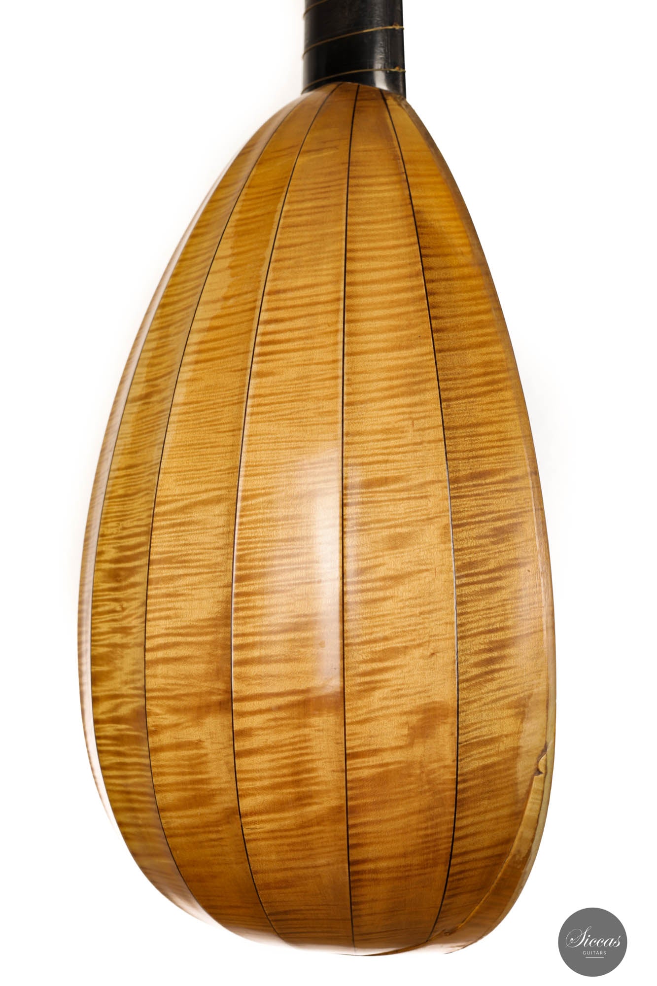 David “José” Rubio – 1973 Lute