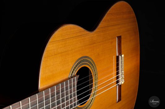 Dieter Müller - 2015 Doubletop img-2