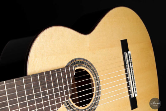 Dieter Müller - 2022 Doubletop 10-string img-2