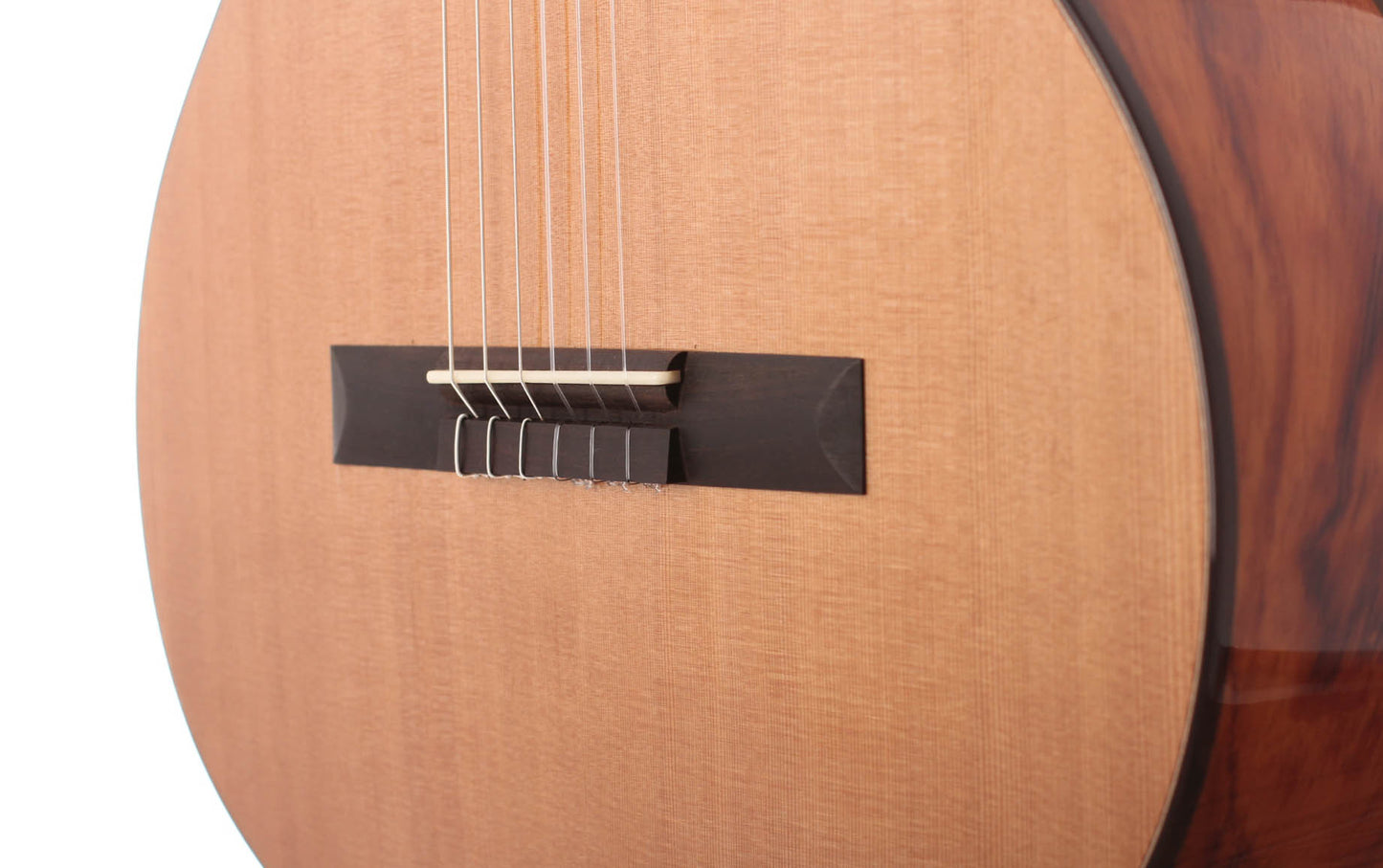 Duke - Basis C
