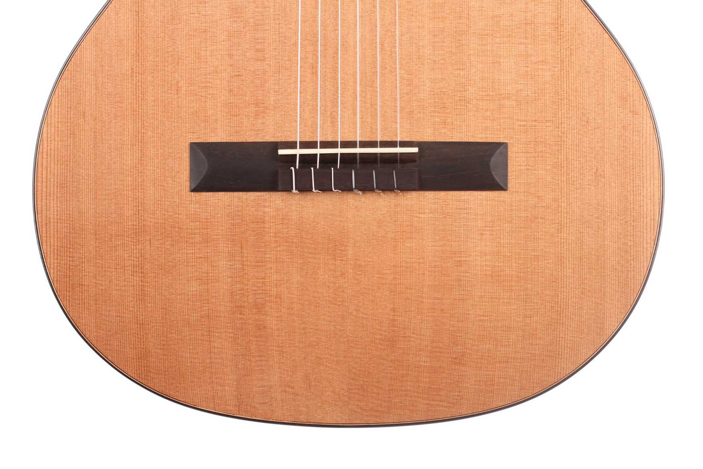 Duke - Basis C