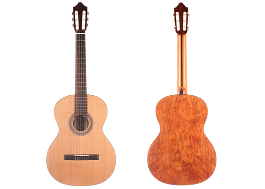 Duke - Basis C img-2