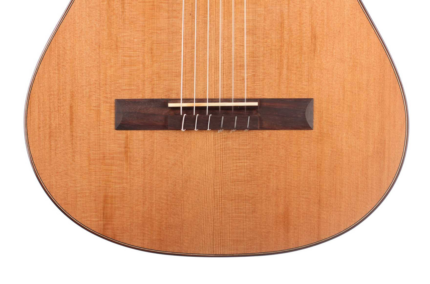 Duke - Basis C 580