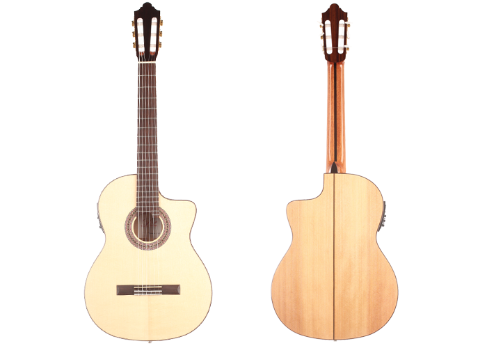 Duke - Flamenco Cut Pickup