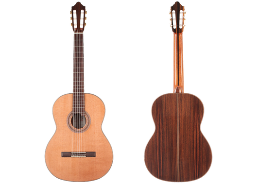 Duke - Student C img-2