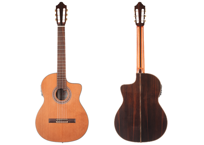 Duke - Student C Cut Pickup