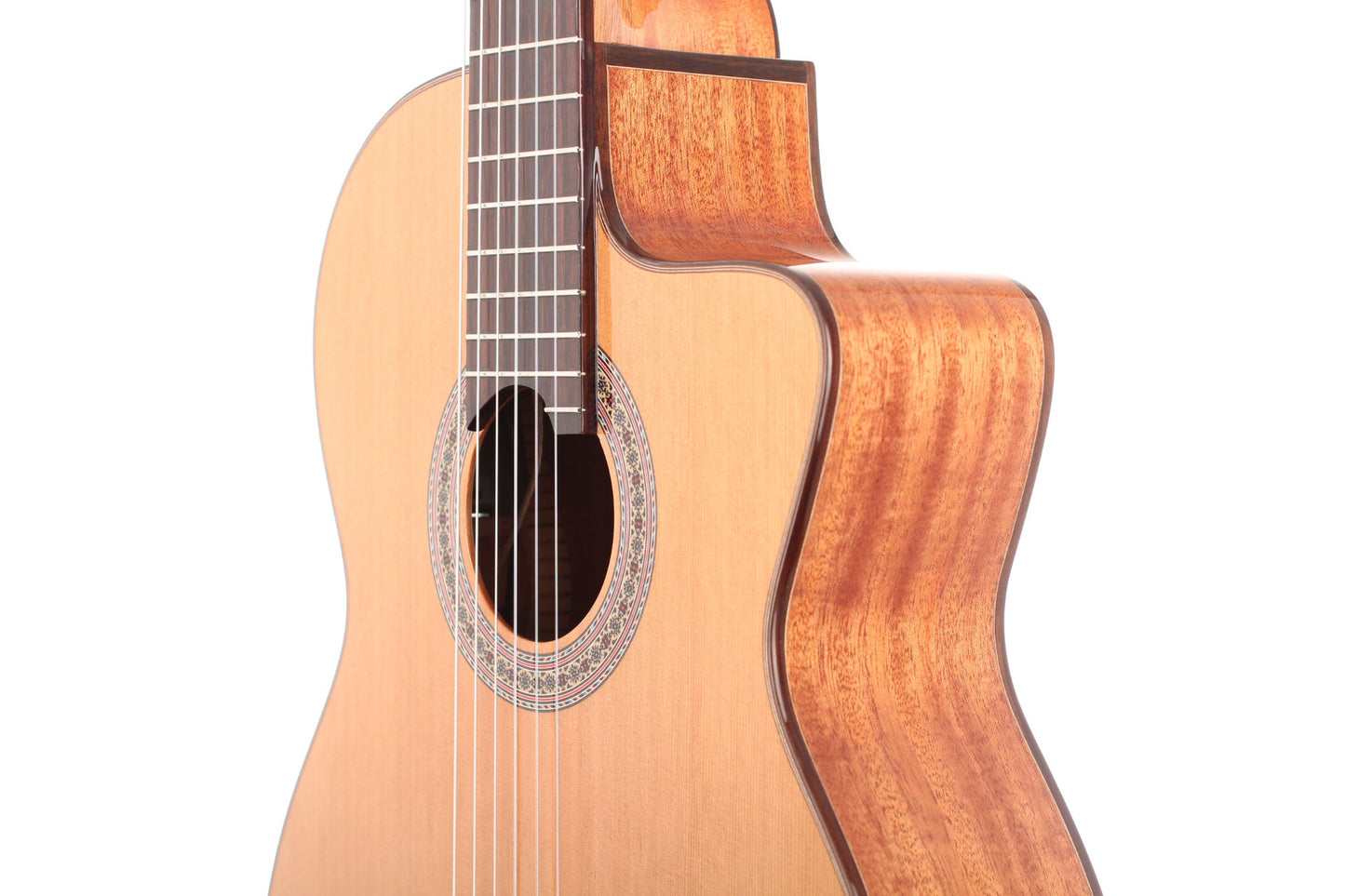 Duke - Konzert C Cut Pickup