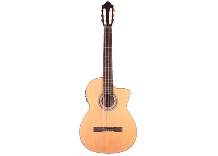 Duke - Konzert C Cut Pickup