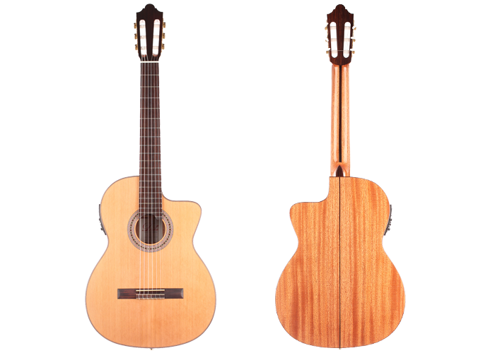 Duke - Konzert C Cut Pickup