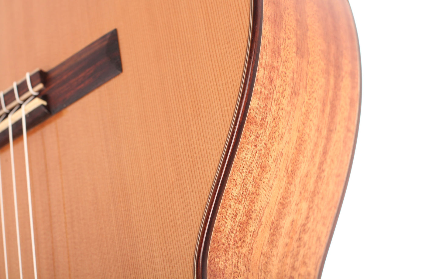 Duke - Konzert C Cut Pickup