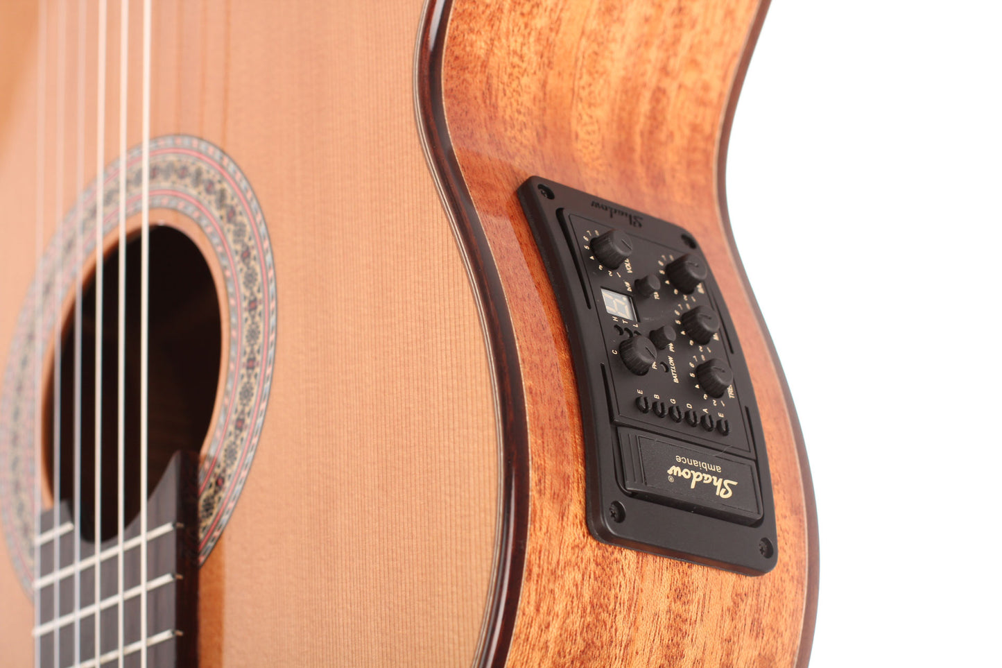 Duke - Konzert C Cut Pickup