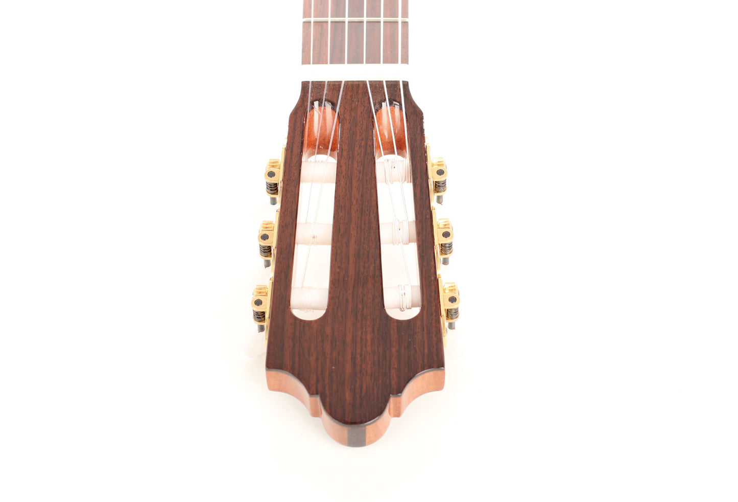 Duke - Konzert F Cut Pickup
