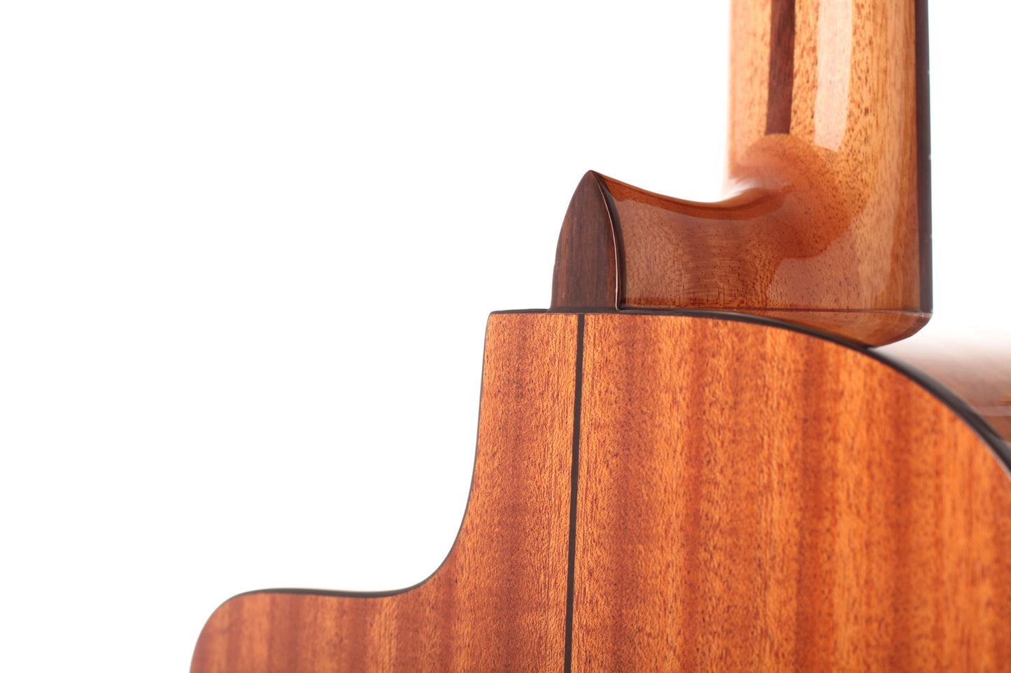 Duke - Konzert F Cut Pickup