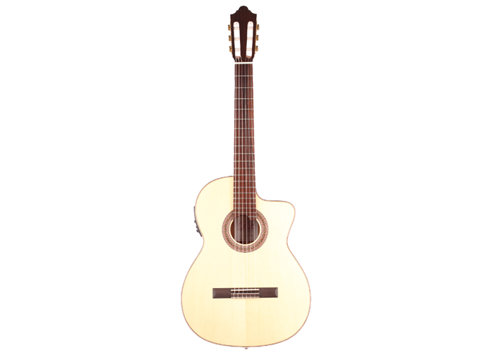 Duke - Konzert F Cut Pickup