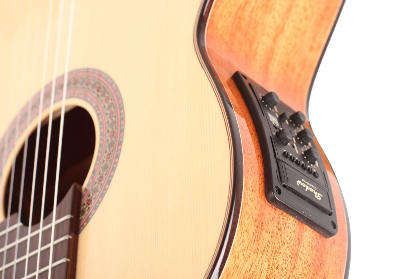 Duke - Konzert F Cut Pickup