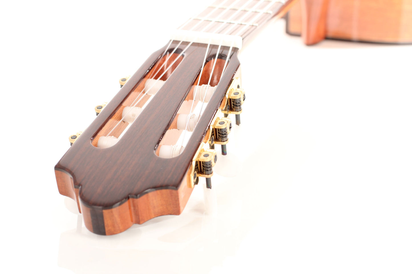 Duke - Konzert F Cut Pickup