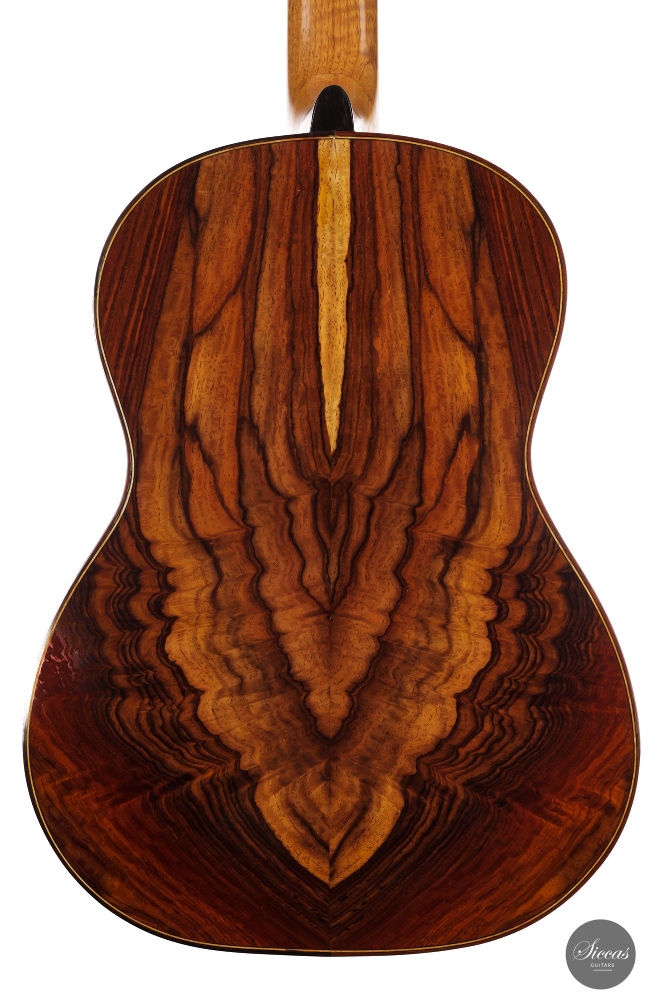 Mario Sicca - 2020 Cocobolo