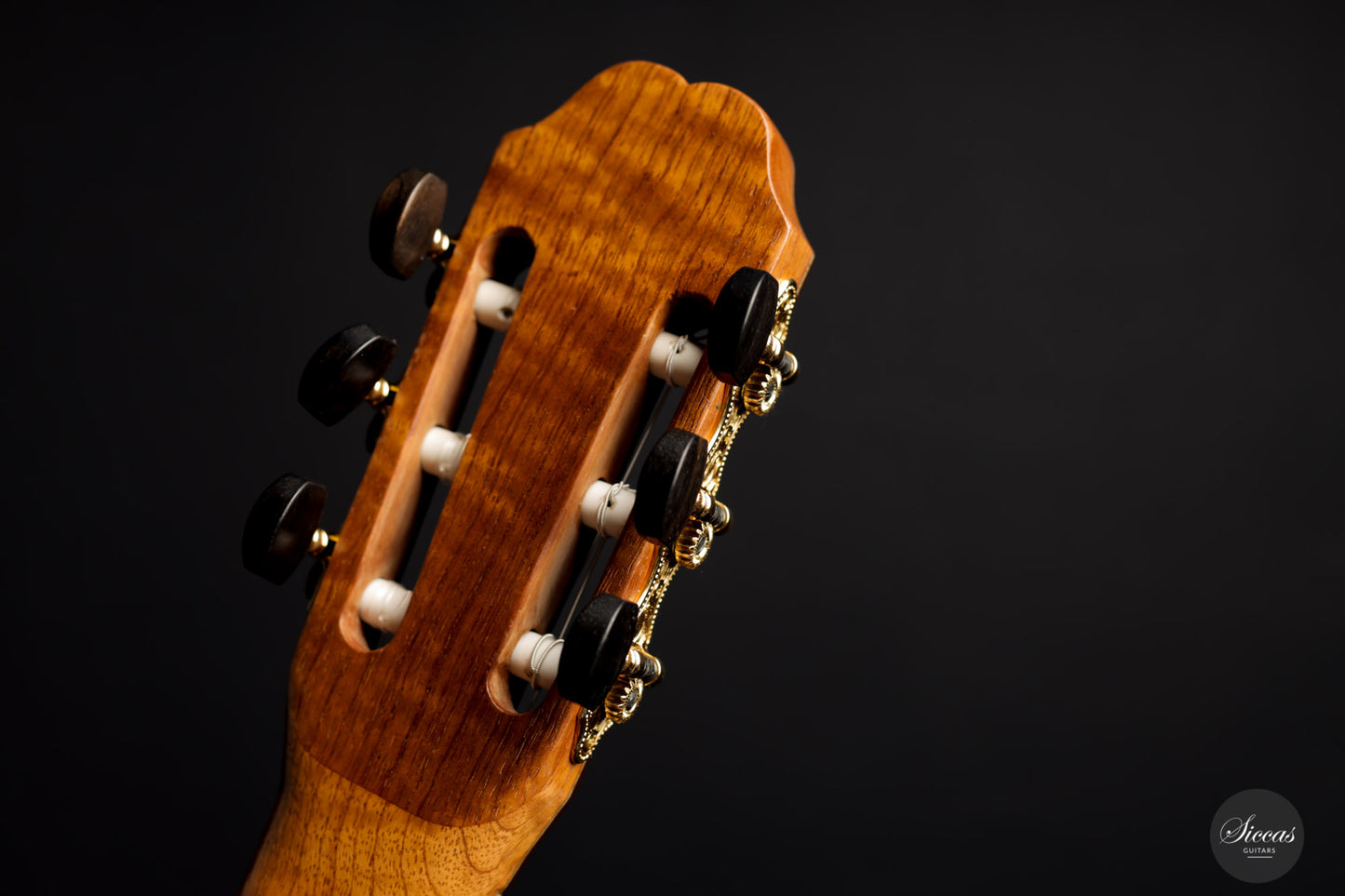 Mario Sicca - 2020 Cocobolo