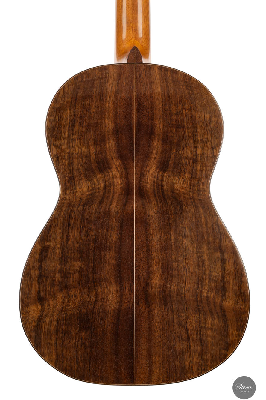 Fabio Zontini - 2024 REG 2024 Limited Edition 62cm