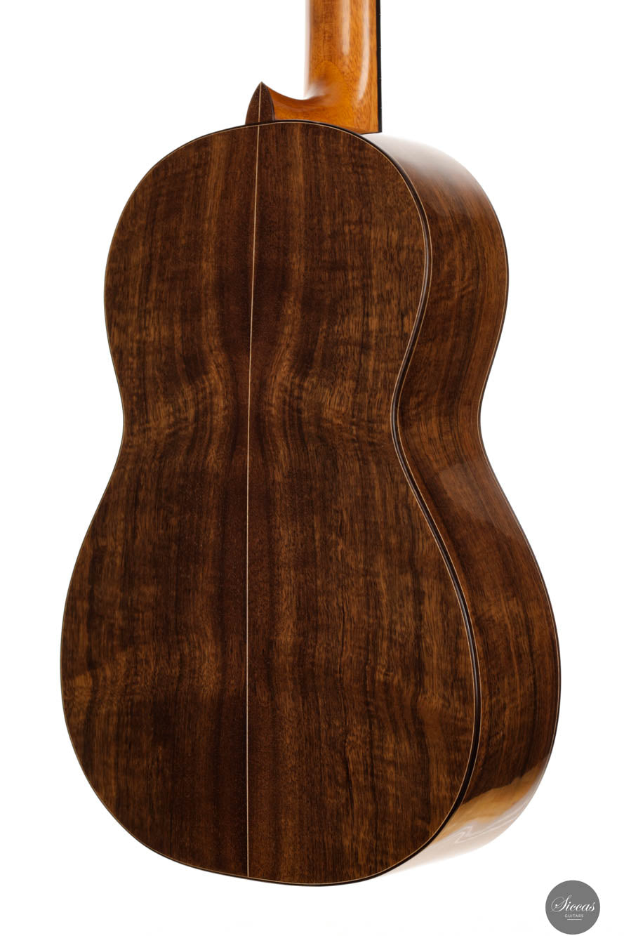 Fabio Zontini - 2024 REG 2024 Limited Edition 62cm