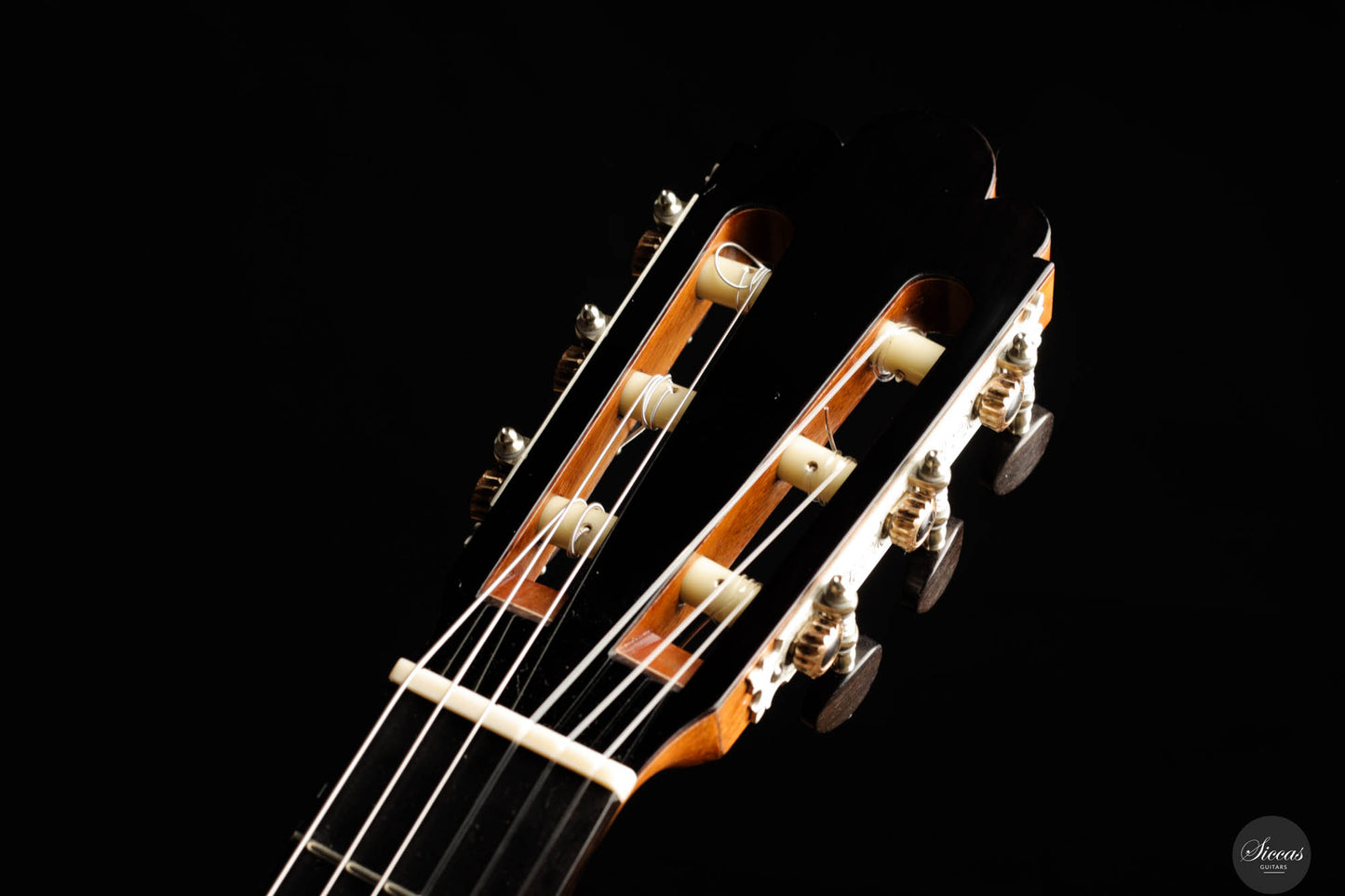 Fabio Zontini - 2024 REG 2024 Limited Edition 62cm