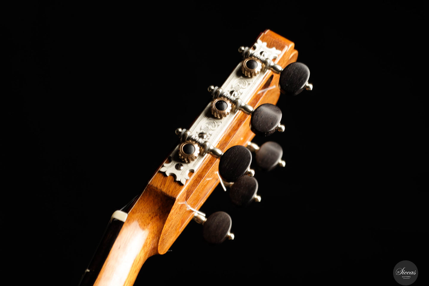 Fabio Zontini - 2024 REG 2024 Limited Edition 62cm