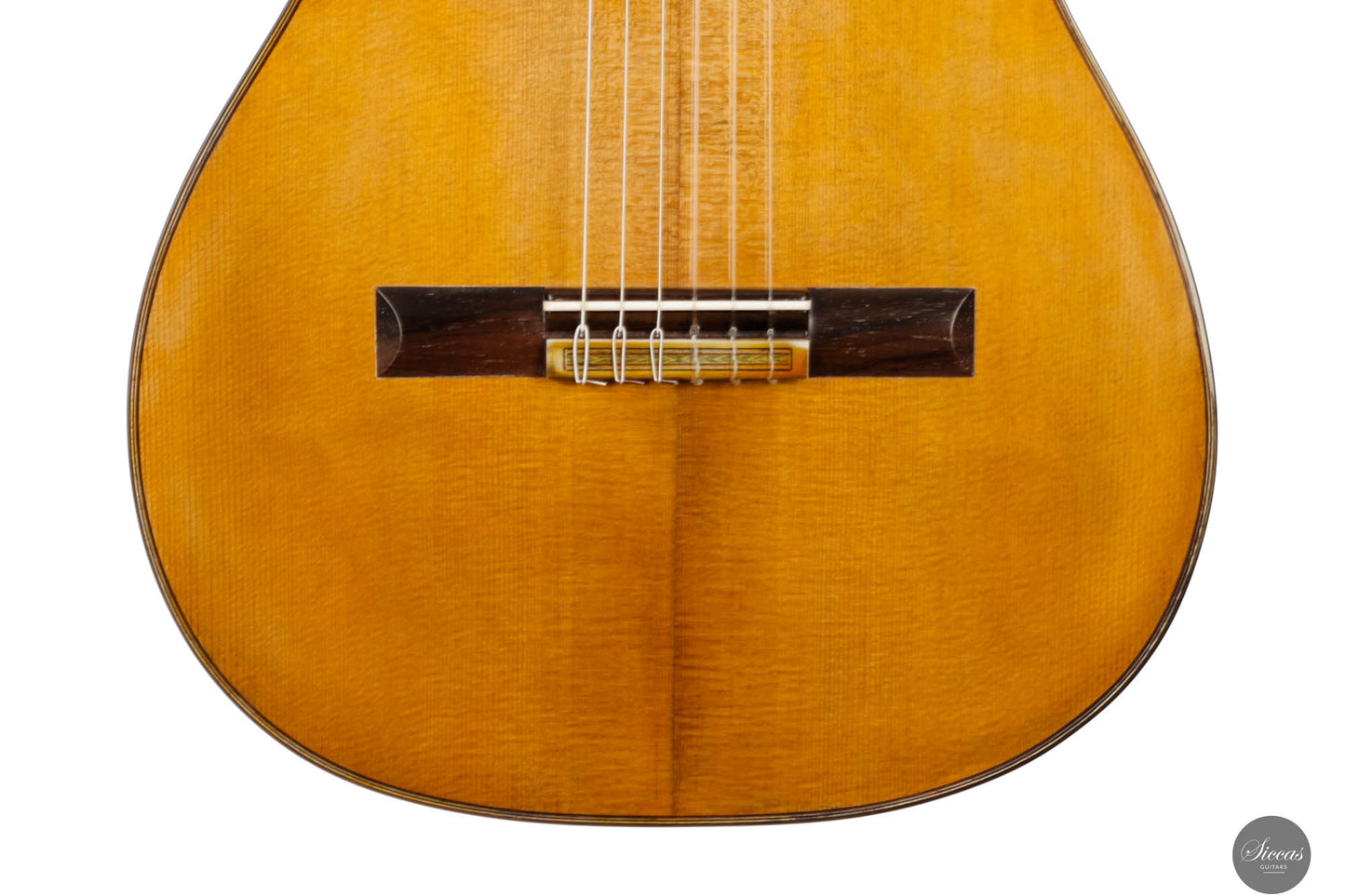 Fabio Zontini - 2024 REG 2024 Limited Edition 62cm