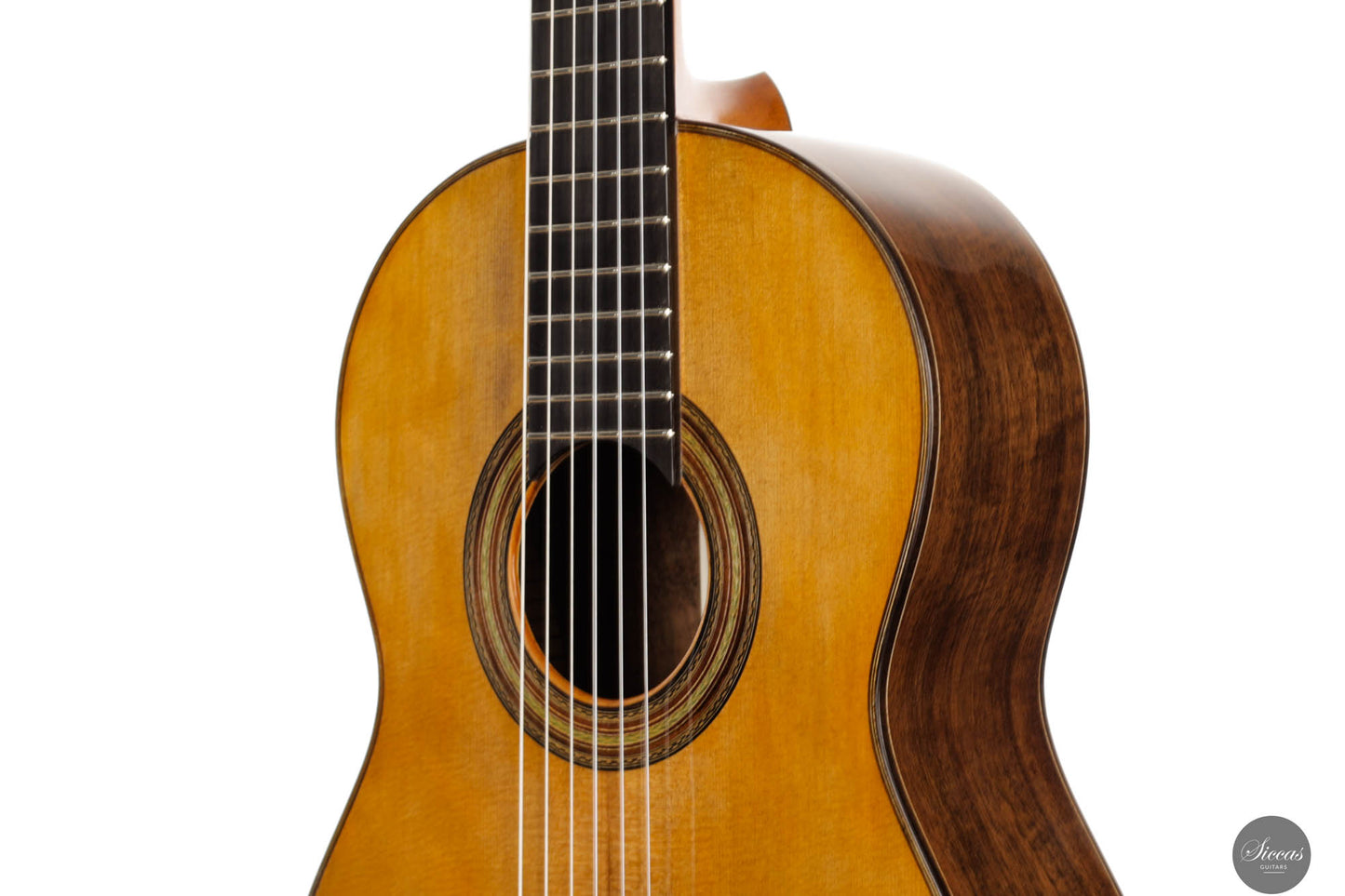 Fabio Zontini - 2024 REG 2024 Limited Edition 62cm