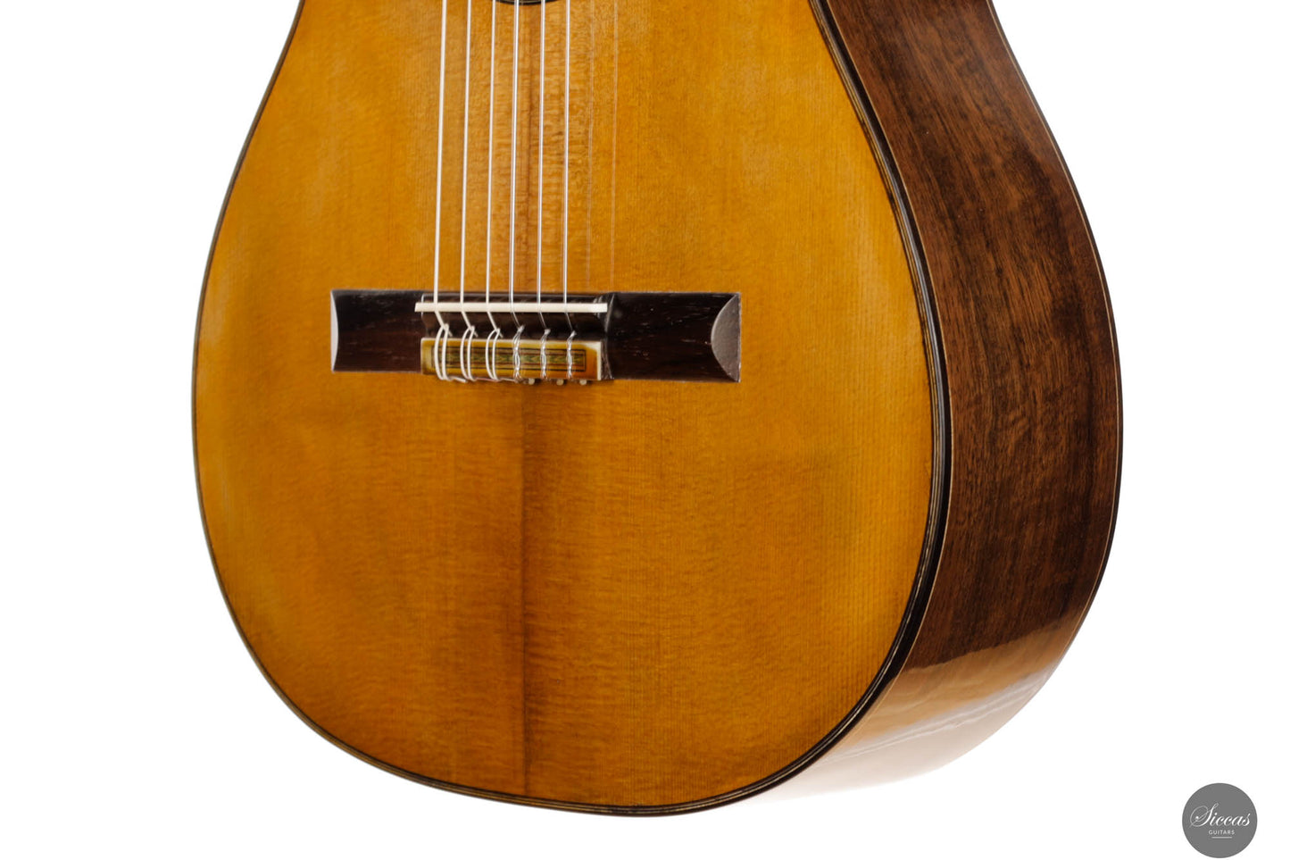 Fabio Zontini - 2024 REG 2024 Limited Edition 62cm