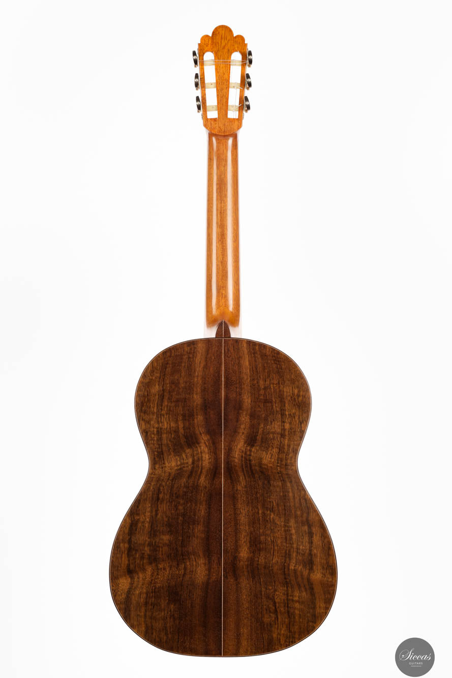 Fabio Zontini - 2024 REG 2024 Limited Edition 62cm