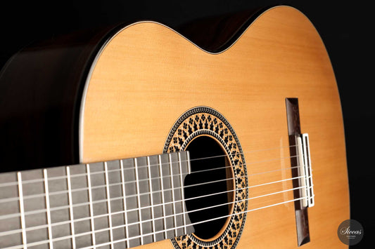 Fernando Mazza – 2022 Doubletop img-2