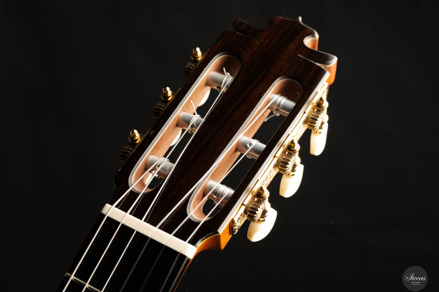 Francisco Barba - 2023 "Classical"