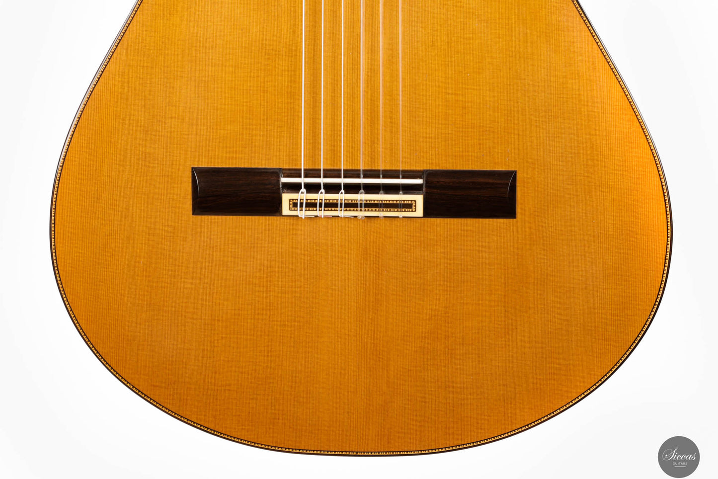 Francisco Barba - 2023 "Classical"