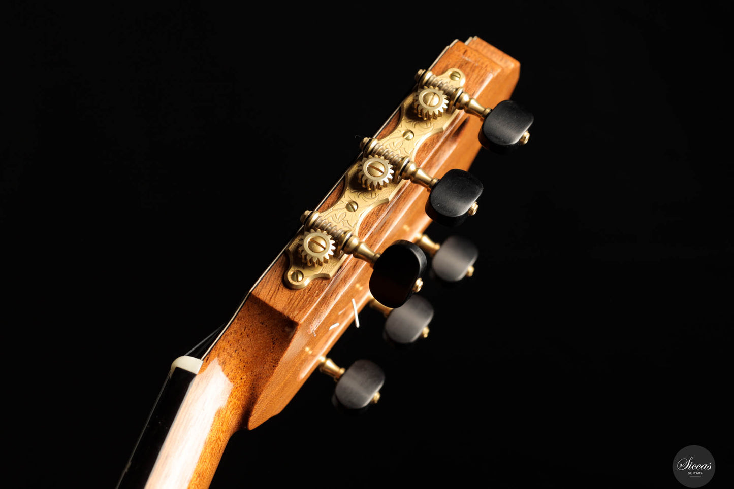 Francois R. Leonard – 2024 No. 91 Spruce/Maple Lattice