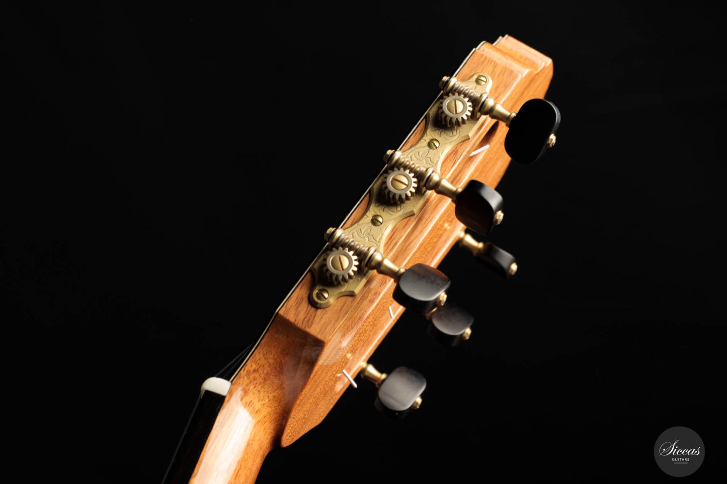 Francois Regis Leonard - 2023 Cedar 65 cm