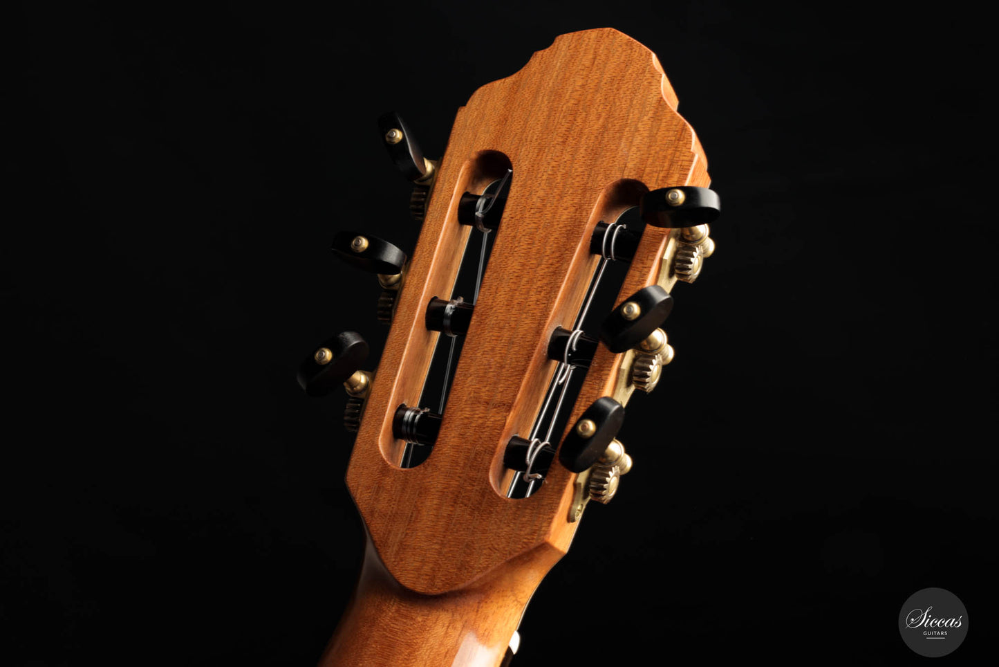 Francois Regis Leonard - 2023 Cedar 65 cm