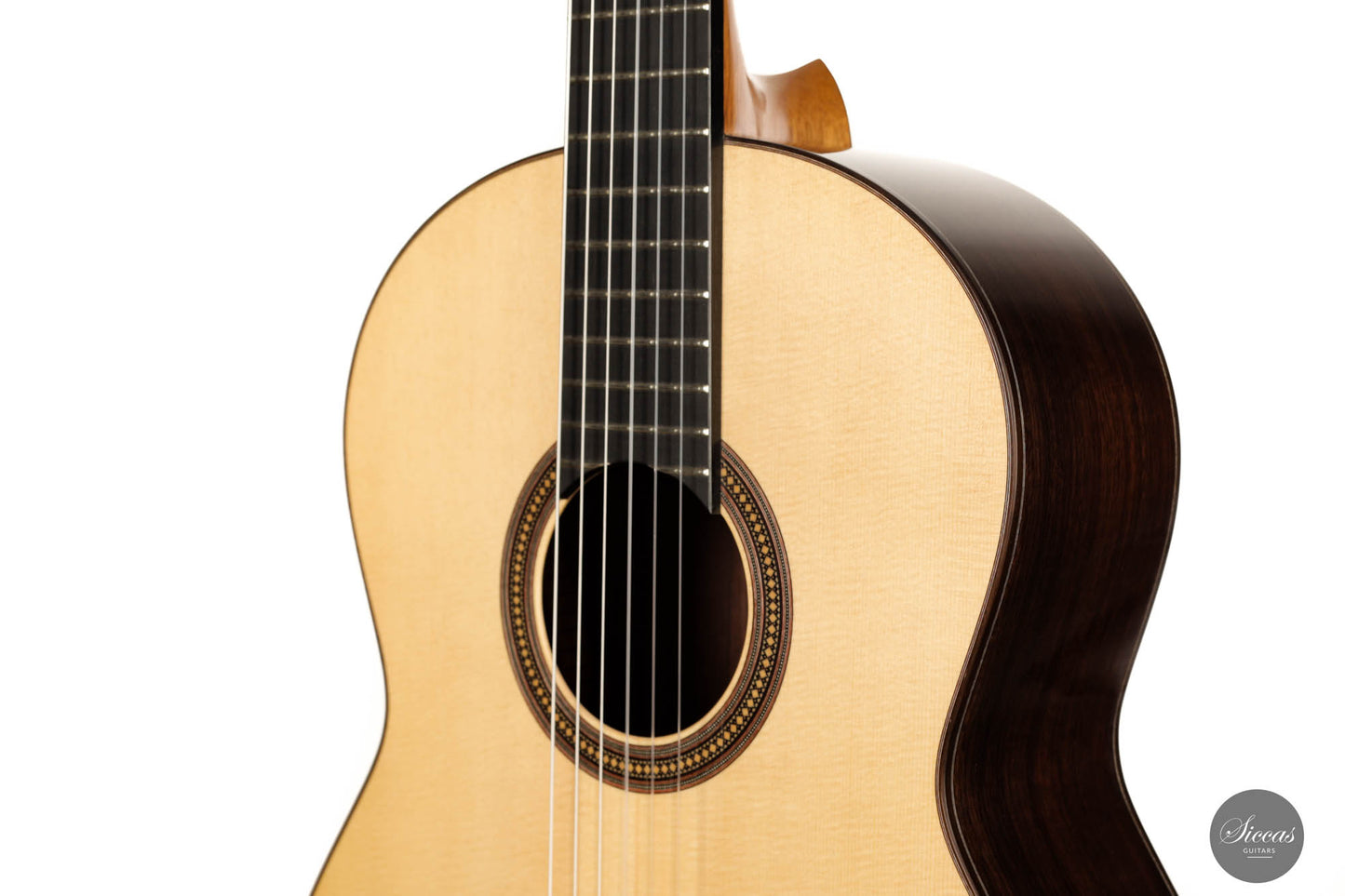 Francois Regis Leonard - 2023 Fichte 64 cm