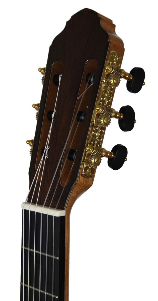 Francois Regis Leonard - 2015 img-2