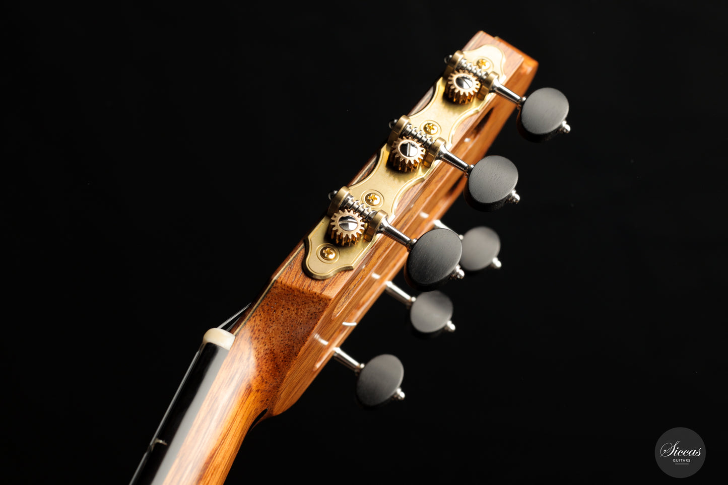 Friedemann Beck - 2023 Indian Rosewood