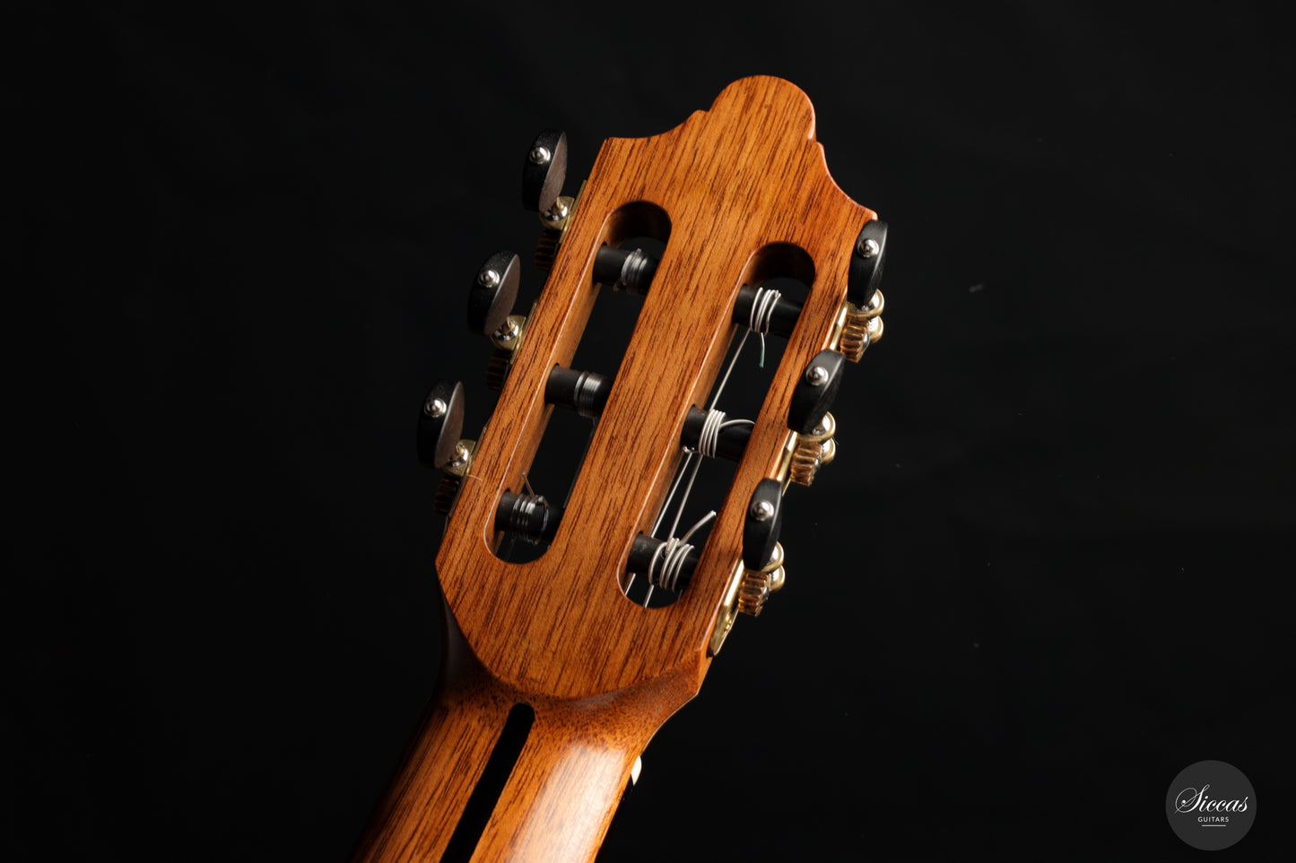 Friedemann Beck - 2023 Indian Rosewood