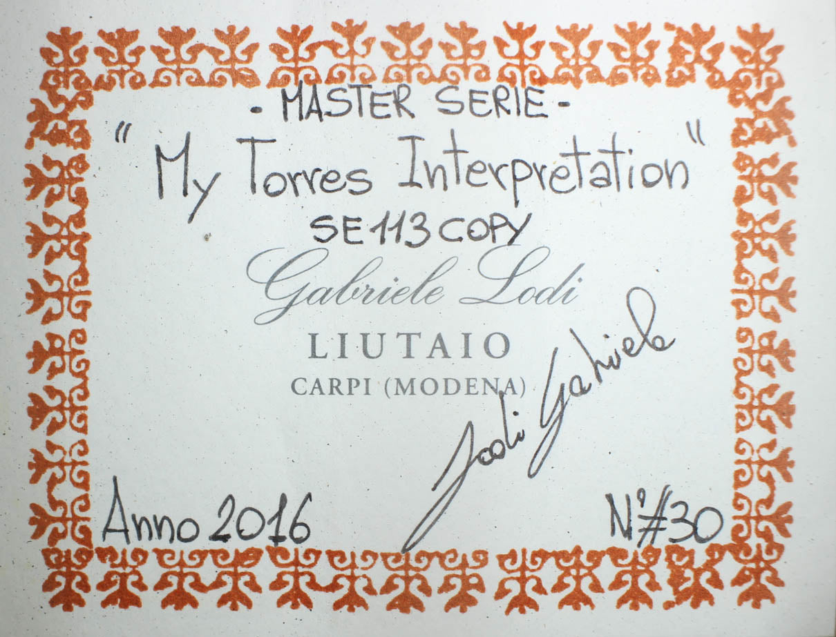 Gabriele Lodi - SE113 2016