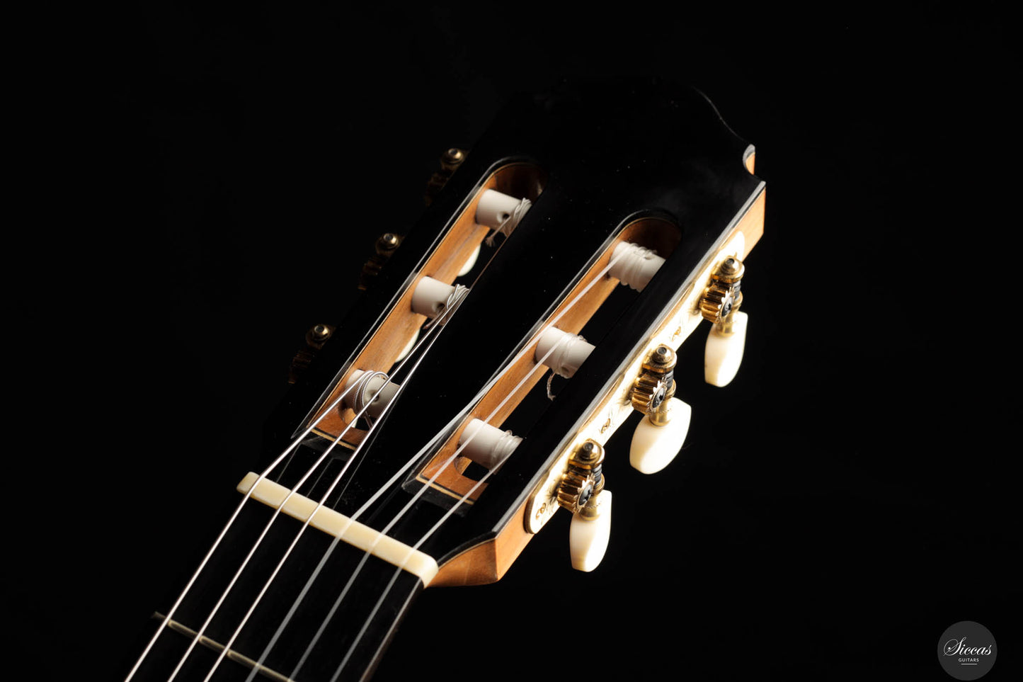 Graziano Calanna - 2023 - Spruce / Indian rosewood