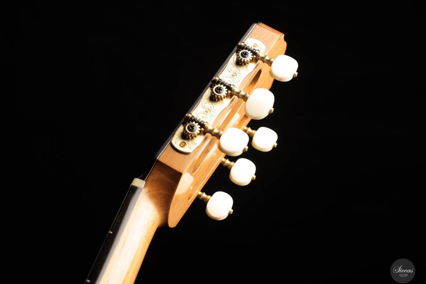 Graziano Calanna - 2023 - Spruce / Indian rosewood