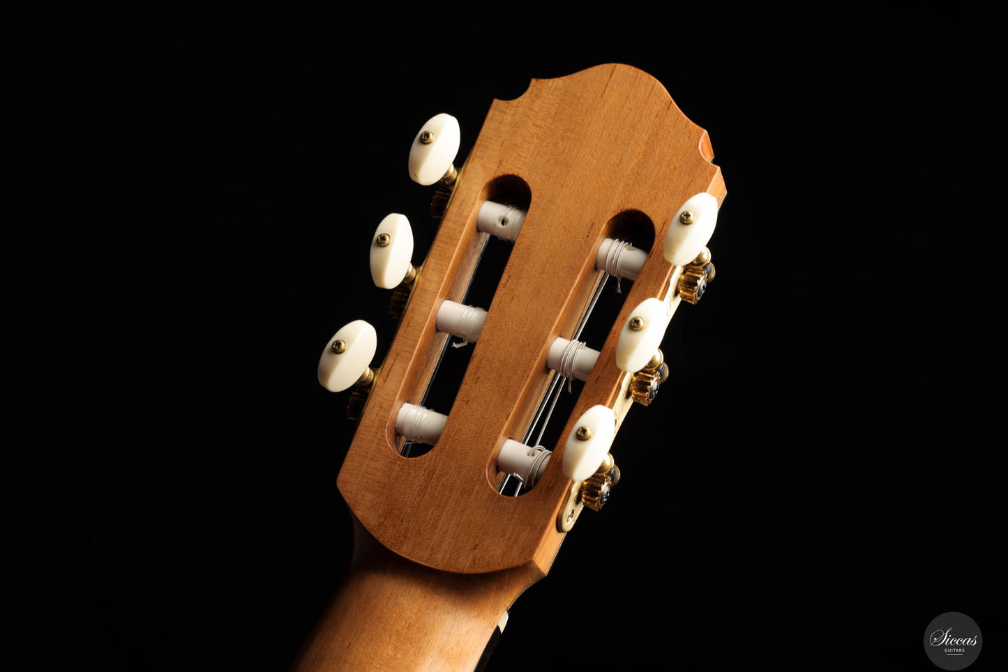 Graziano Calanna - 2023 - Spruce / Indian rosewood