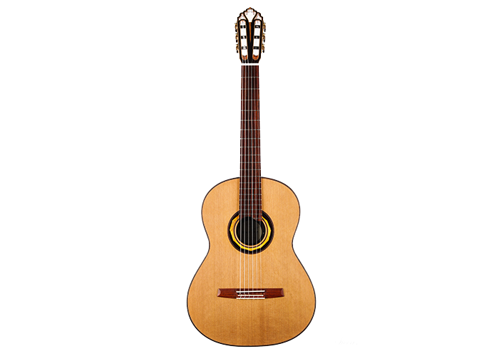 Armin Hanika - HE Custom Doubletop