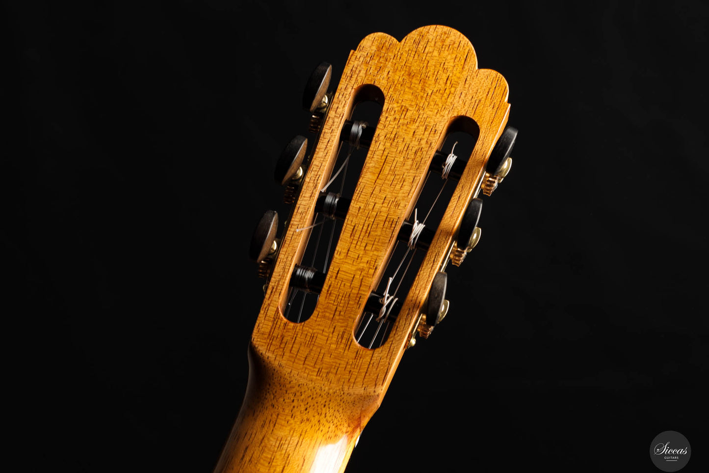 Hans Van Velzen - 1917 Garcia Cedar - 64 cm
