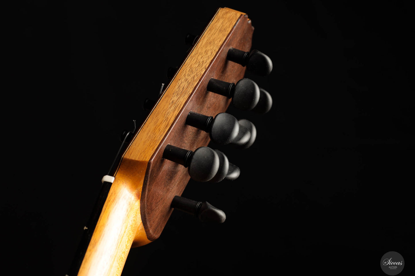 Heikki Rousu - 2024 No. 451 10-String