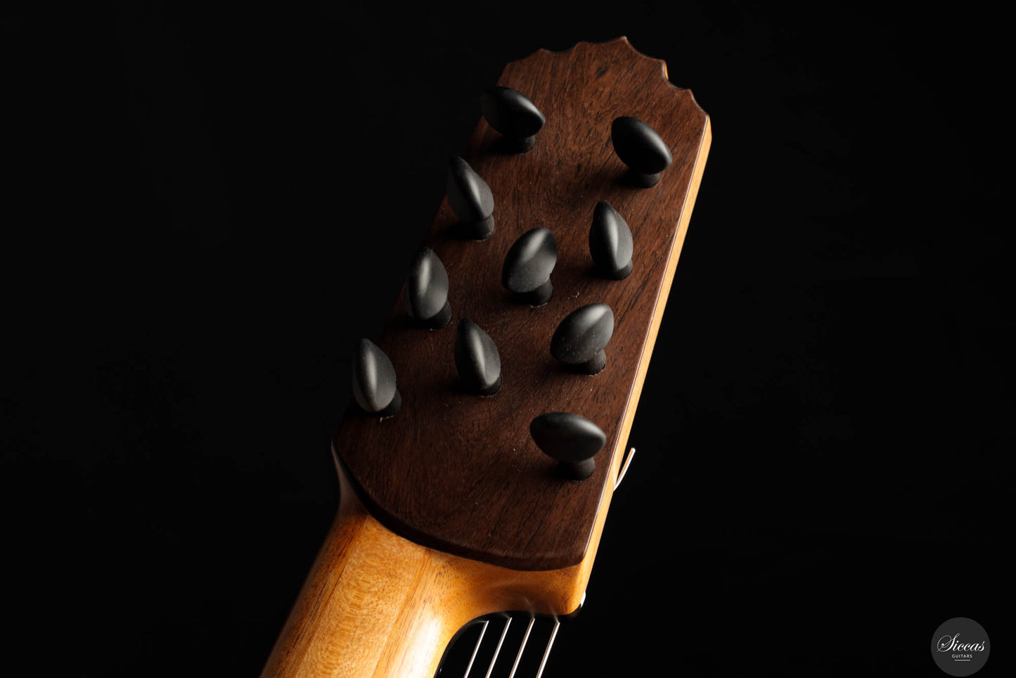 Heikki Rousu - 2024 No. 451 10-String