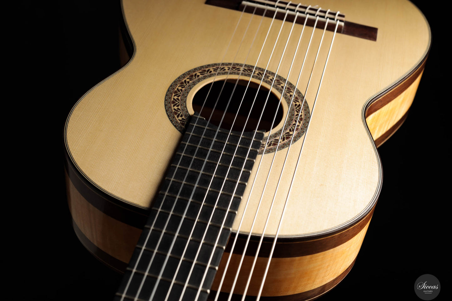 Heikki Rousu - 2024 No. 451 10-String