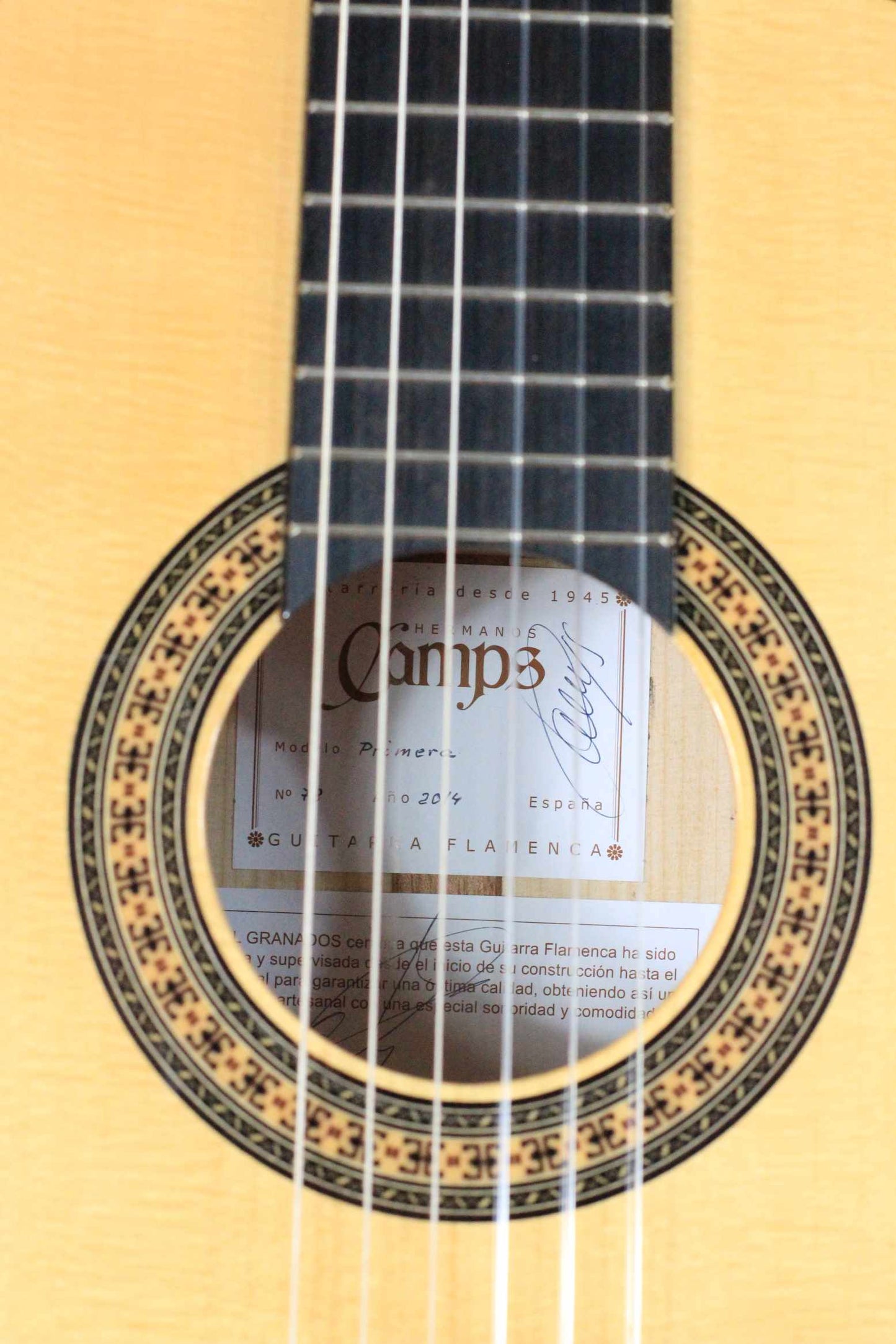Camps Primera - Flamenca Blanca
